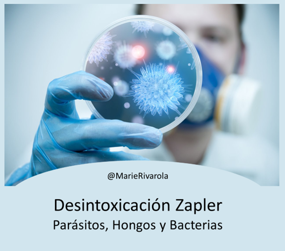 Terapia Zapper
